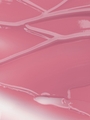 07 Purity