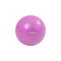 Exercise Ball 30cm Purple