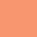 04 Carrotful (4g)