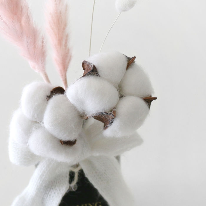 Blooming&me Clara Pampas & Cotton Glass Bottle Set cotton stems and pink pampas close-up