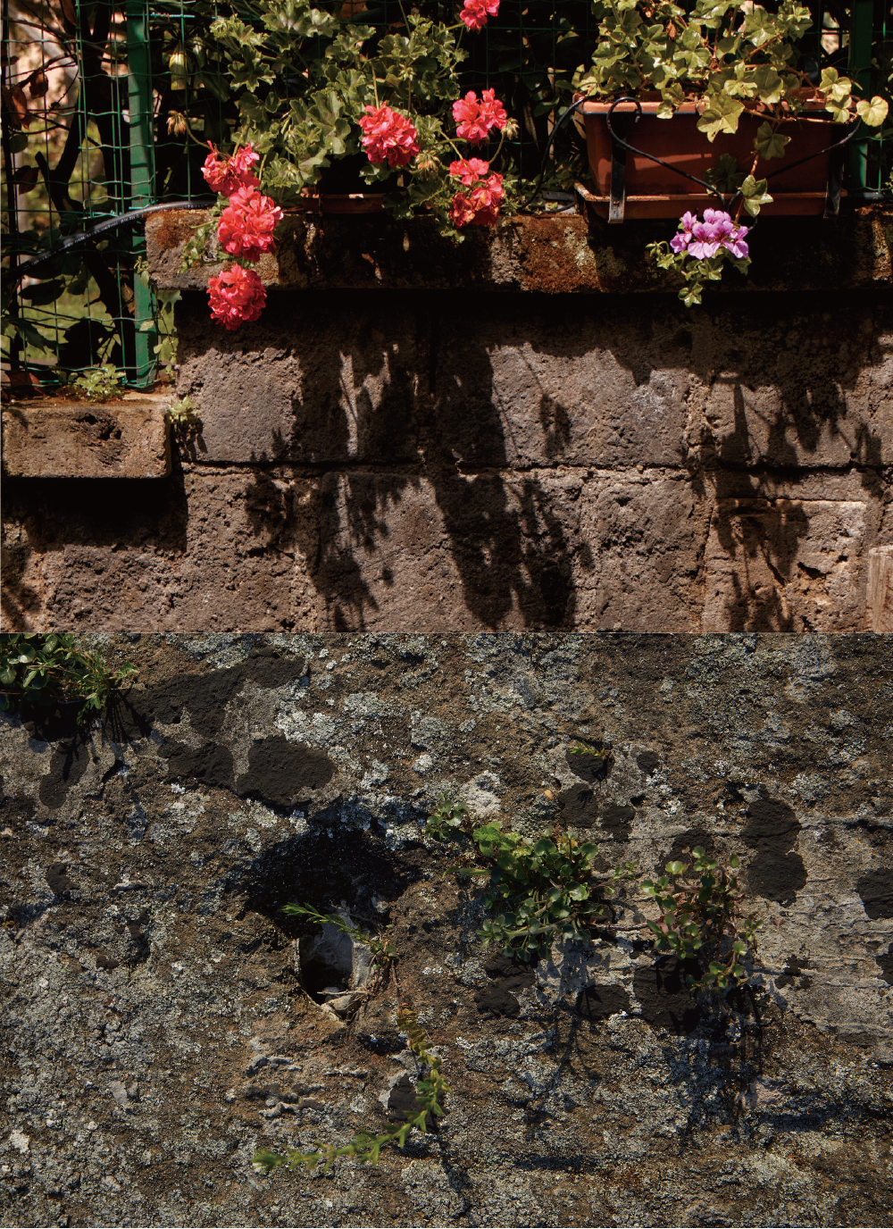 CONTE DE TULEAR Tulea Spray fragrance concept, natural scent inspiration