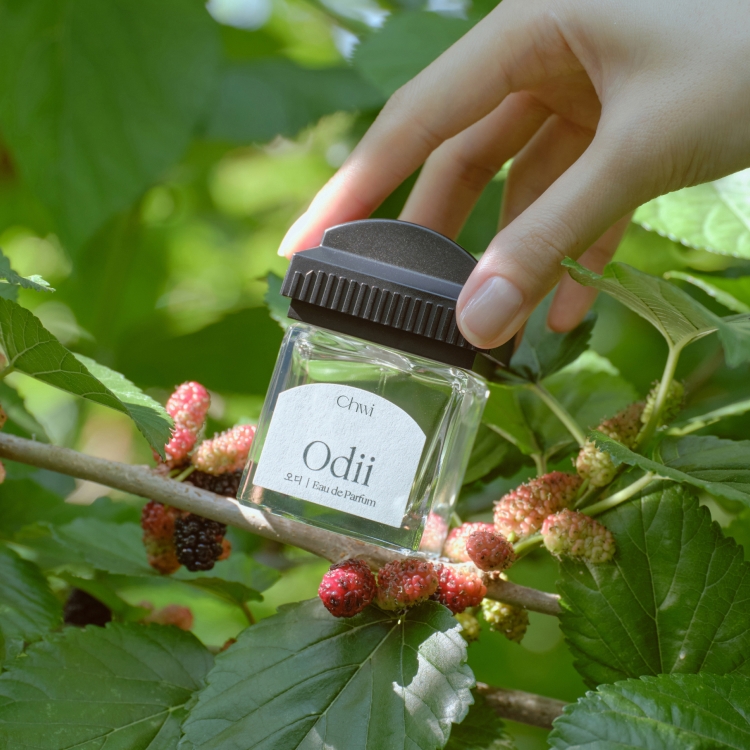 K-Lifestyle Chwi Odii Eau de Parfum EP.06 Mulberry 50ml front label and mulberry tree