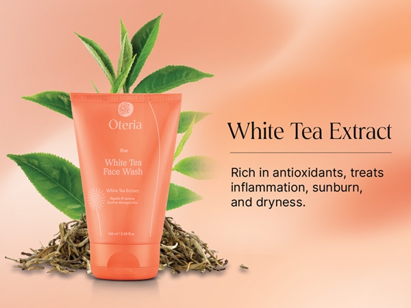 Oteria White Tea Face Wash white tea extract antioxidants banner