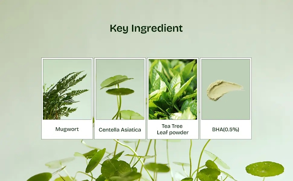 Orien Mugwort Zero Film Cleansing Foam key ingredients mugwort, centella, tea tree leaf, BHA 0.5%