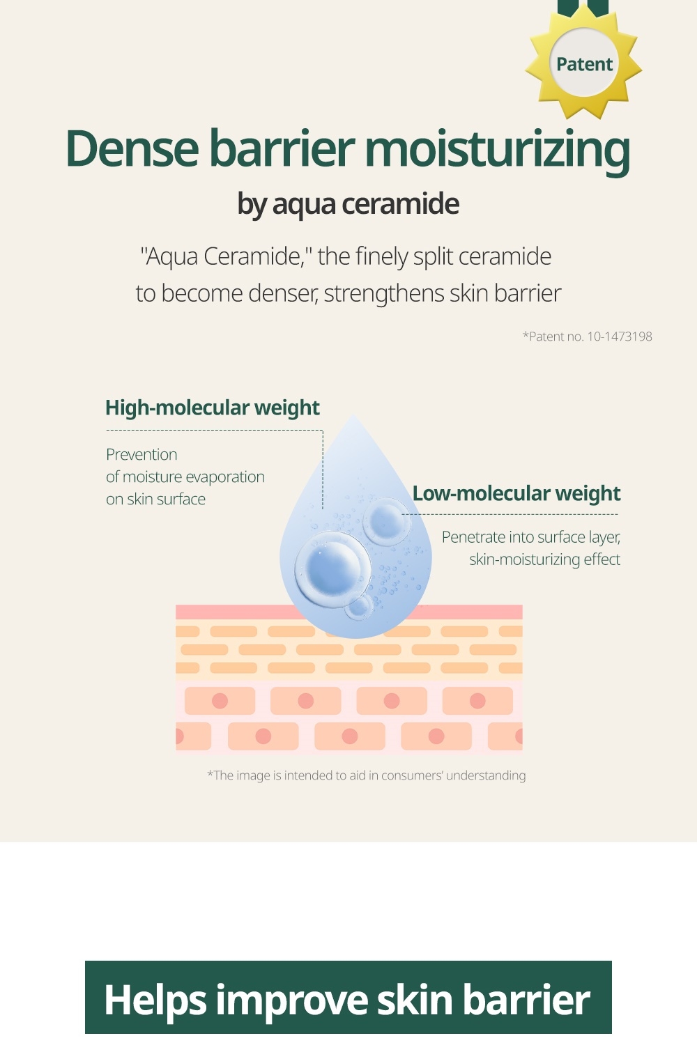 Goodal Vegan Rice Milk Toner patented aqua ceramide barrier moisturizing diagram