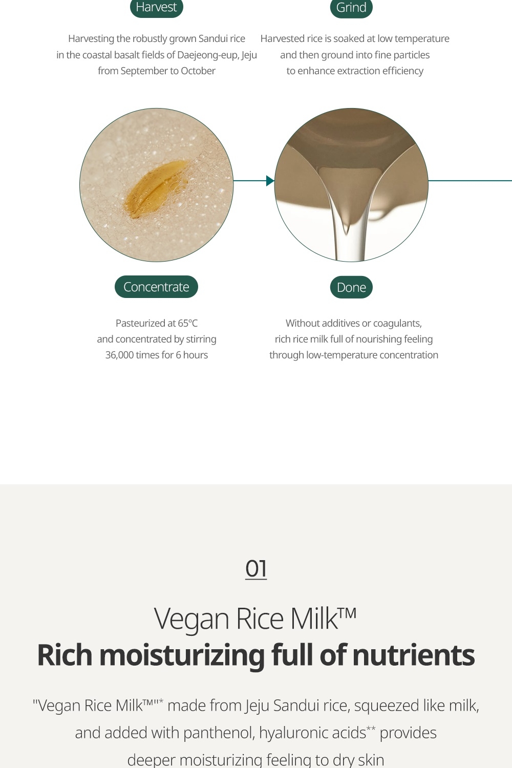 Goodal Vegan Rice Milk Toner Rice Milk extraction process with panthenol and hyaluronic acid