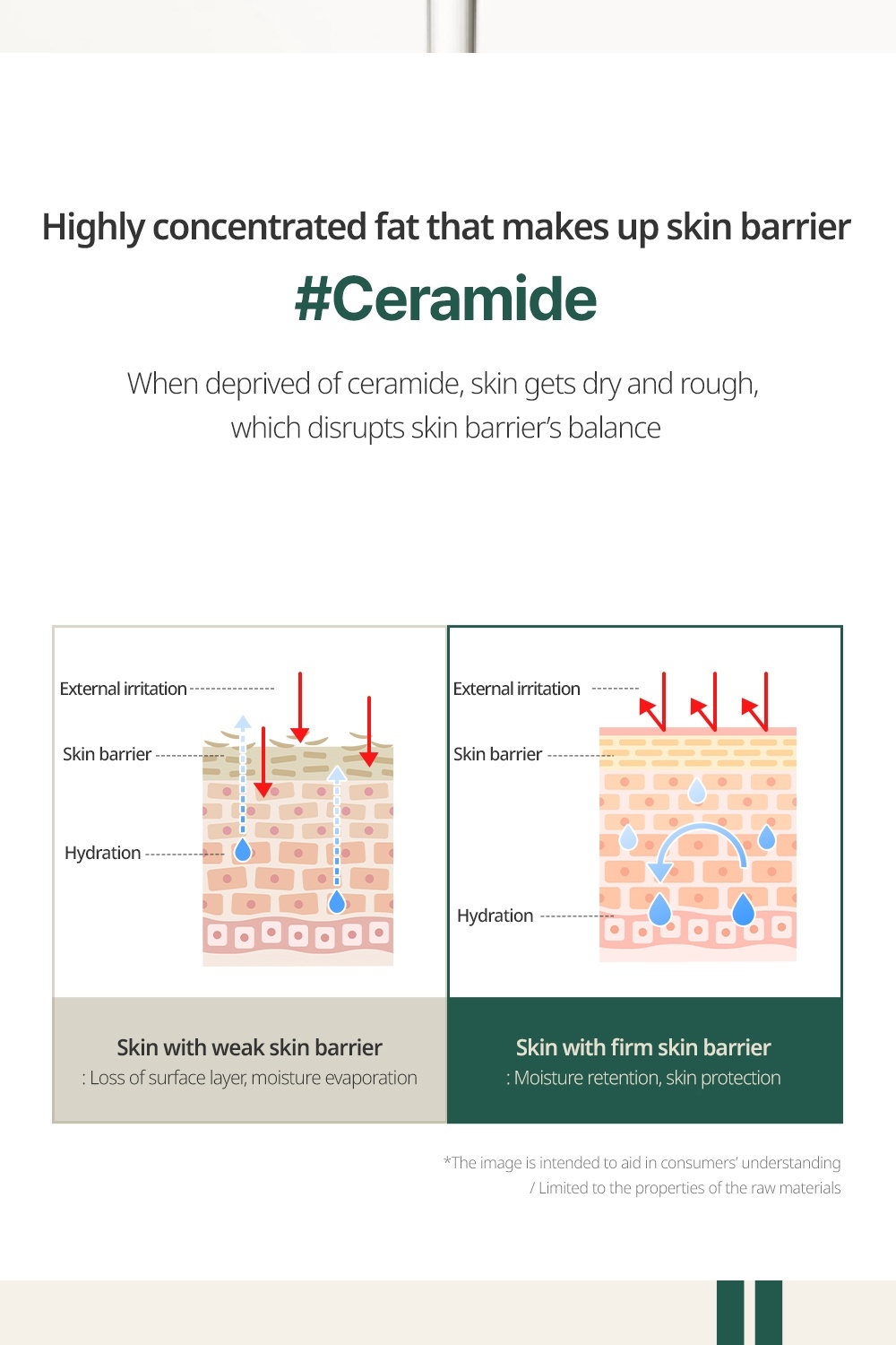 Goodal Vegan Rice Milk Moisturizing Toner ceramide skin barrier diagram