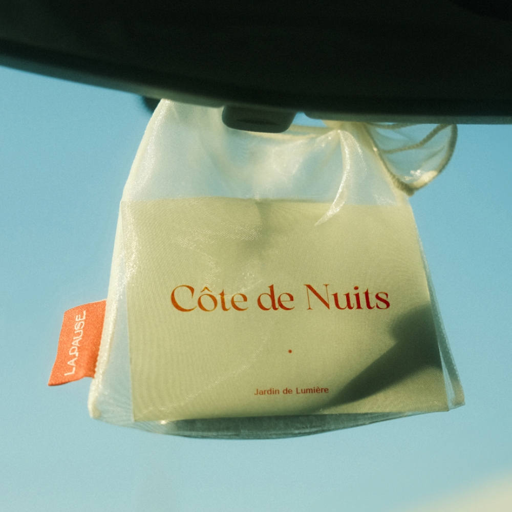 K-Lifestyle LA PAUSE Sachet Shining Organza Pouch Interior Closet Car Air Freshener (Random) – image 2 of 2