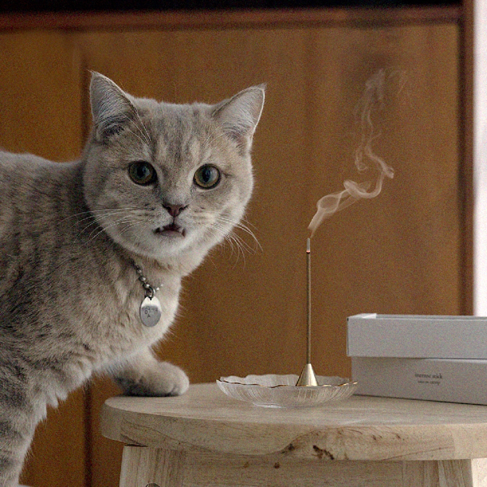 K-Lifestyle COOSIE Natural catnip incense for pets cats on catnip