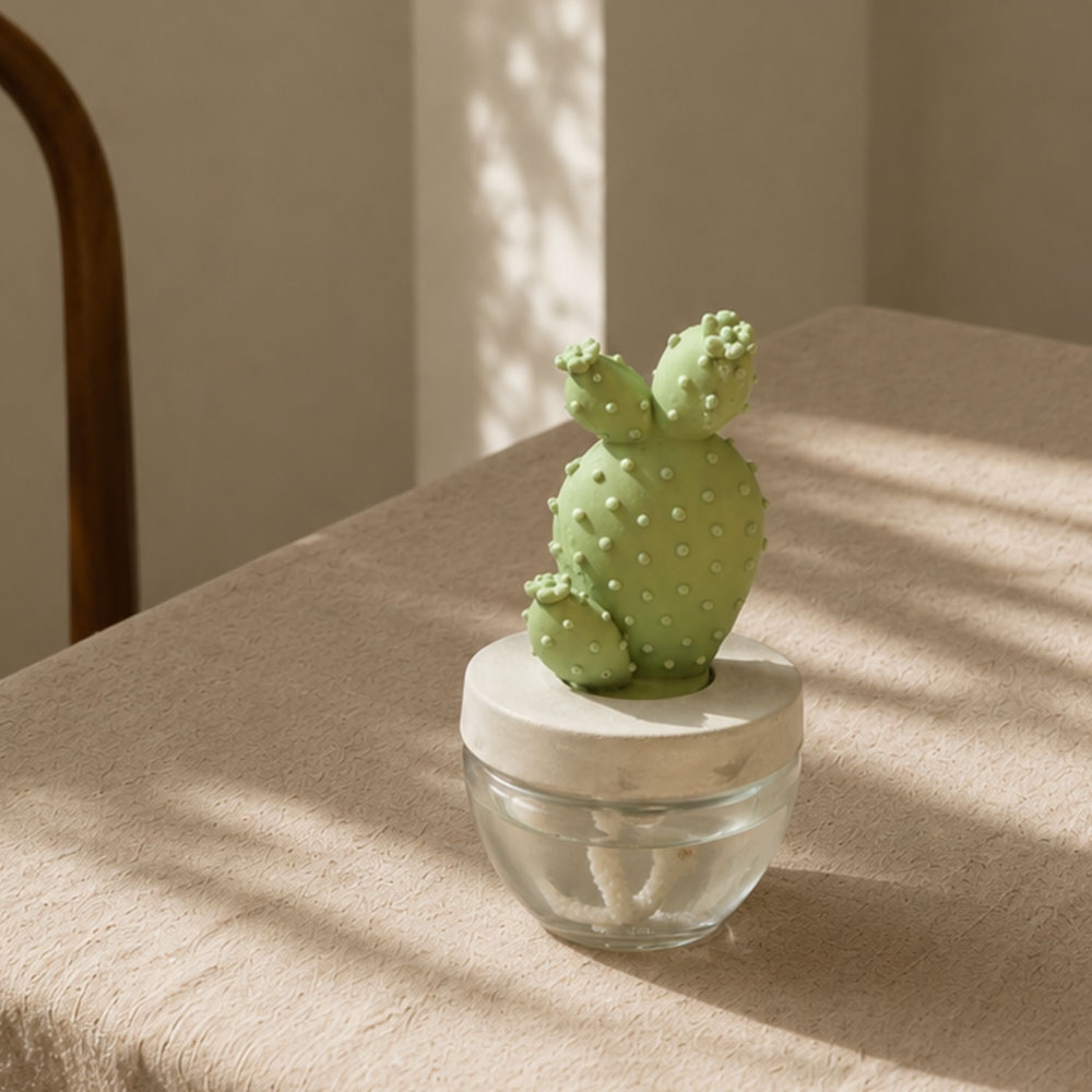 K-Lifestyle AROMACO Cactus Diffuser 100ml English Garden (100ml)