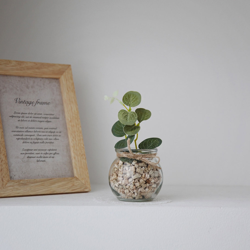 K-Lifestyle petplant Sachet Stone Cut Eucalyptus Glass Jar Set