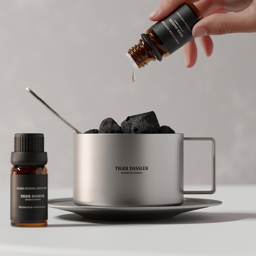 K-Lifestyle TIGER DASSLER Stainless Steel Cafe Stone Diffuser Premium MARS Object Diffuser – image 2 of 2