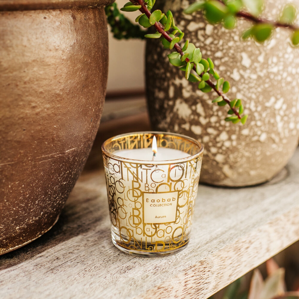 K-Lifestyle BAOBAB COLLECTION Max One My First Baobab Candle 190g Aurum (190g)