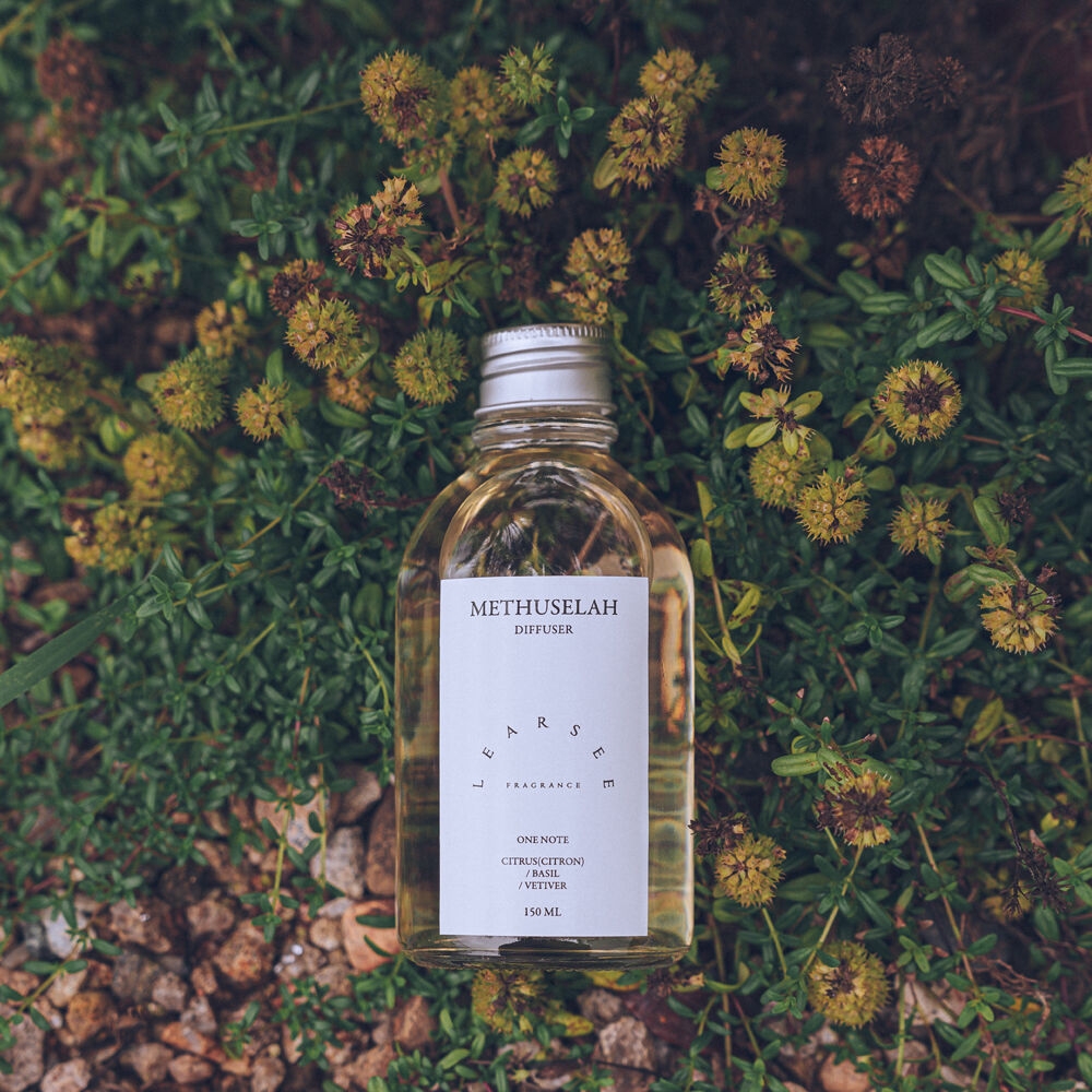 K-Lifestyle LEARSEE Methusela Diffuser