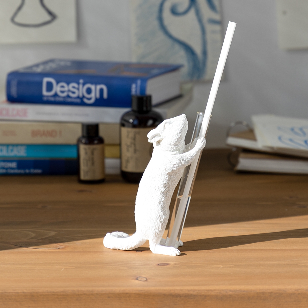 K-Lifestyle HAOSHI Squirrel Diffuser - Propose / Chipmunk X SCENT - Present #01