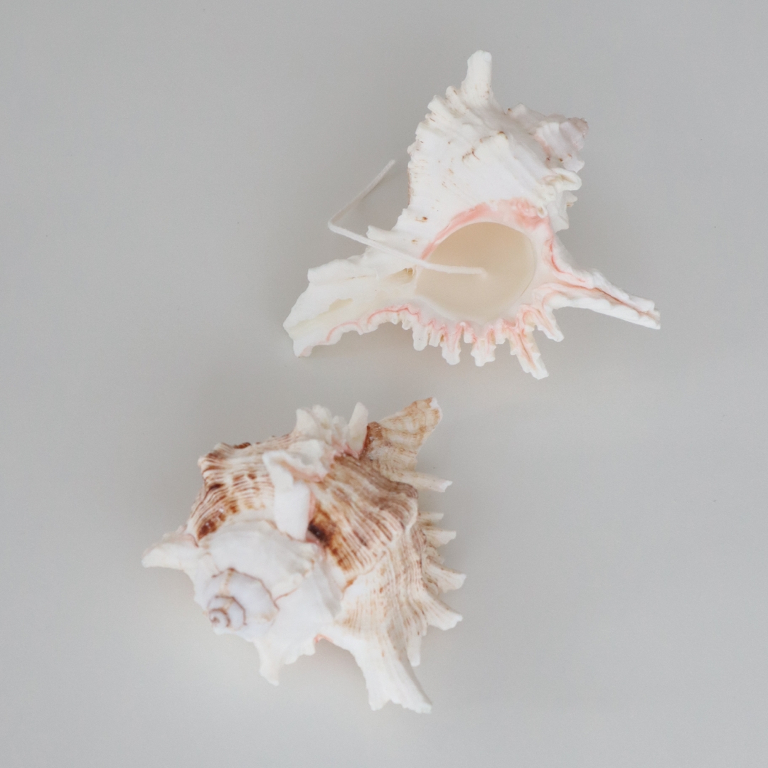 K-Lifestyle MONTHDAY Conch Wave Candle (1ea)