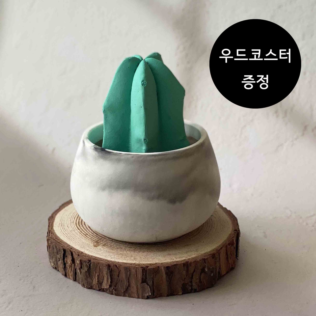 K-Lifestyle coming candle Cactus Pot Plaster Air Freshener + Wooden Coaster