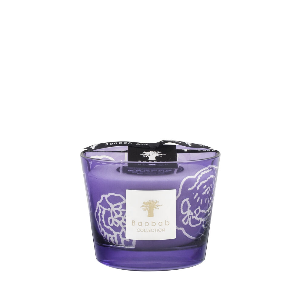 K-Lifestyle BAOBAB COLLECTION Max 10 Collectible Rose Candle 500g Dark Parma (500g)
