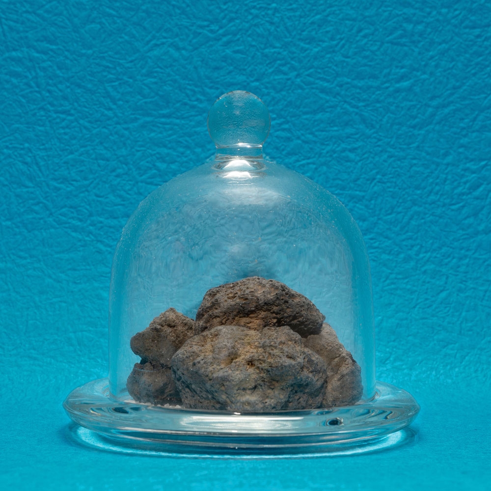 K-Lifestyle ciao seoul PM12:00_ Dome_ Diffuser