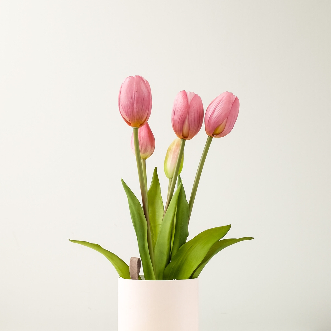 K-Lifestyle NODITO Tulip Ever After