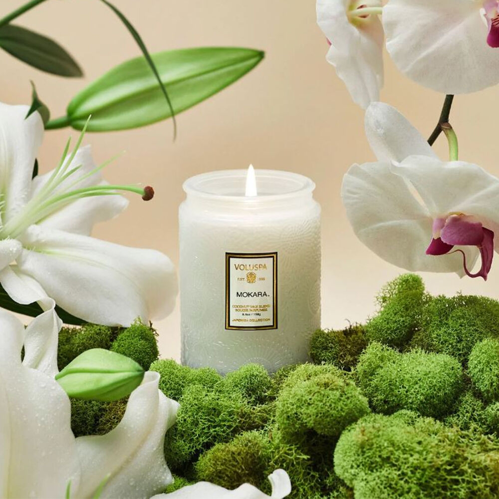 K-Lifestyle VOLUSPA Mokara M Glass Candle 5.5oz (156g) (5.5oz)