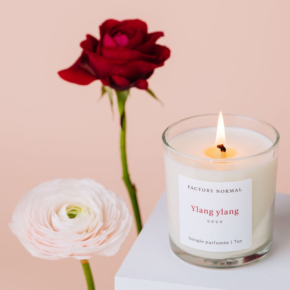K-Lifestyle factory normal Fragrant Herb Garden Collection Soy Candle / Ylang-Ylang Lavender Eucalyptus Sleep-Inducing Scent Burning