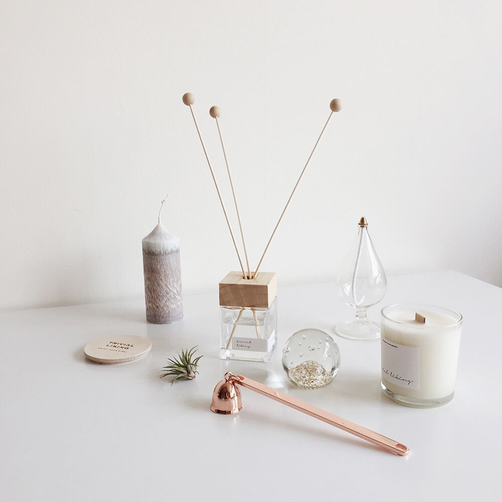 K-Lifestyle trivial liking Naturalism Diffuser 100ml (100ml)