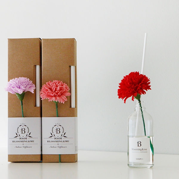 K-Lifestyle Blooming&me Nature Diffuser - Carnation Gift