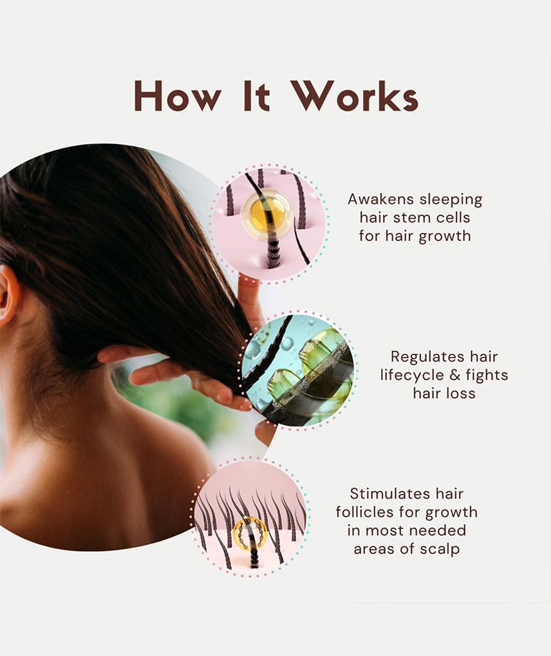 Coco Crush Cold-Pressed Rosemary Lavender Hair Oil, Prevents Hair Loss & Stimulates Hair Growth - 100ml – image 4 of 8