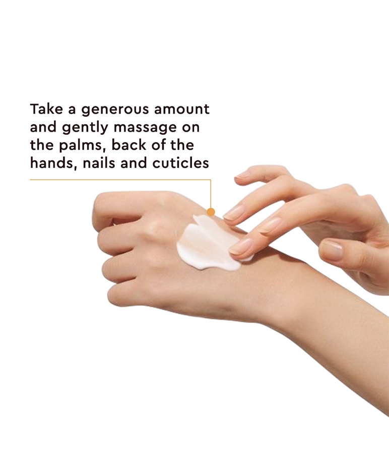 The Face Shop Daily Moment Vegan Hand Cream six-scent range lineup