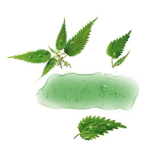 Klorane Nettle No Sebum Shampoo 400mL (polar scalp) – image 3 of 3