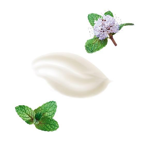 Klorane Anti-Oxidant Scalp Pack with Aqua Mint 150mL – image 4 of 6