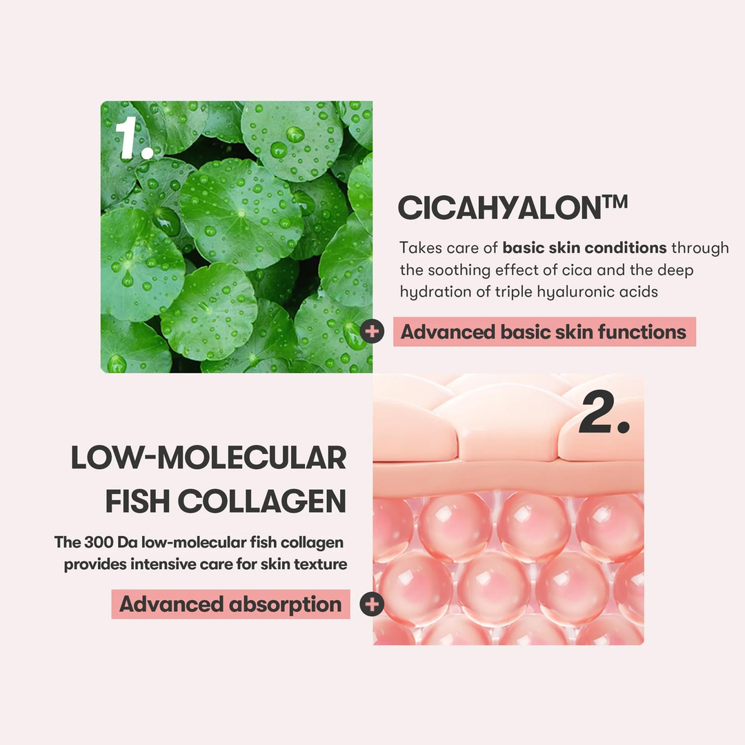 VT Cica Collagen Eye Cream CICAHYALON and low-molecular fish collagen key ingredients