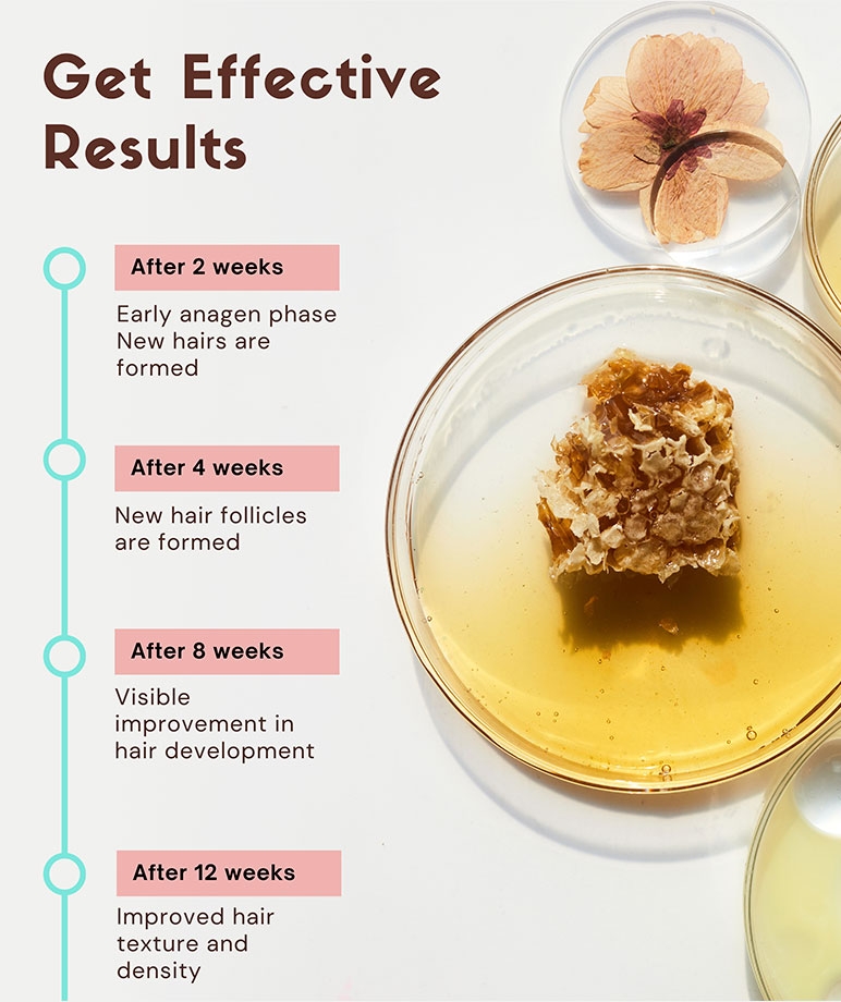Coco Crush Hair Growth Serum results timeline 2 to 12 weeks