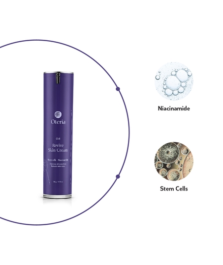 Revive Skin Cream (50gm) With Niacinamide & Human Adipocyte Extract for ...