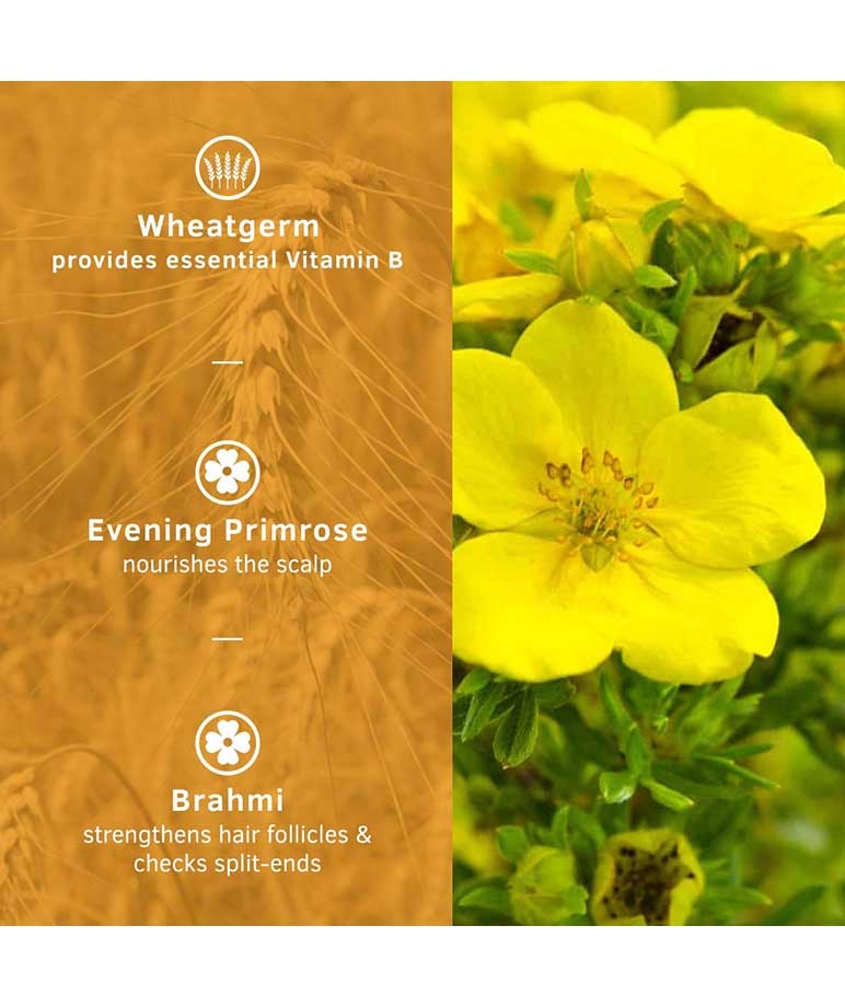 Ustraa Hair Conditioner Daily Use wheatgerm, evening primrose, brahmi key ingredients