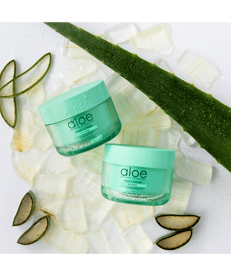 aloe vera za mršavljenje Aloe Vera 450mg 60 kapsula