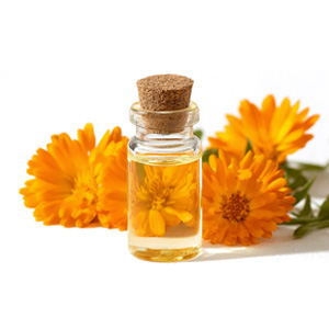 Calendula Extract
