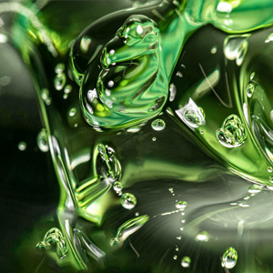 Chlorella Extract