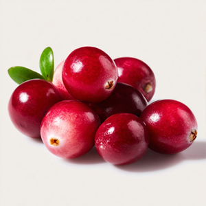 Cranberry Extract