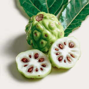 Noni Fruit Extract