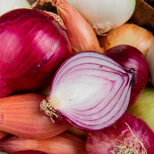 Onion Extract