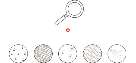 It's Skin skin concern research illustration with magnifying glass