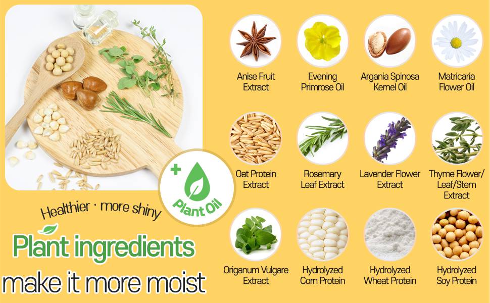 Elizavecca CER-100 Curl Cream plant oil and plant extract ingredients list